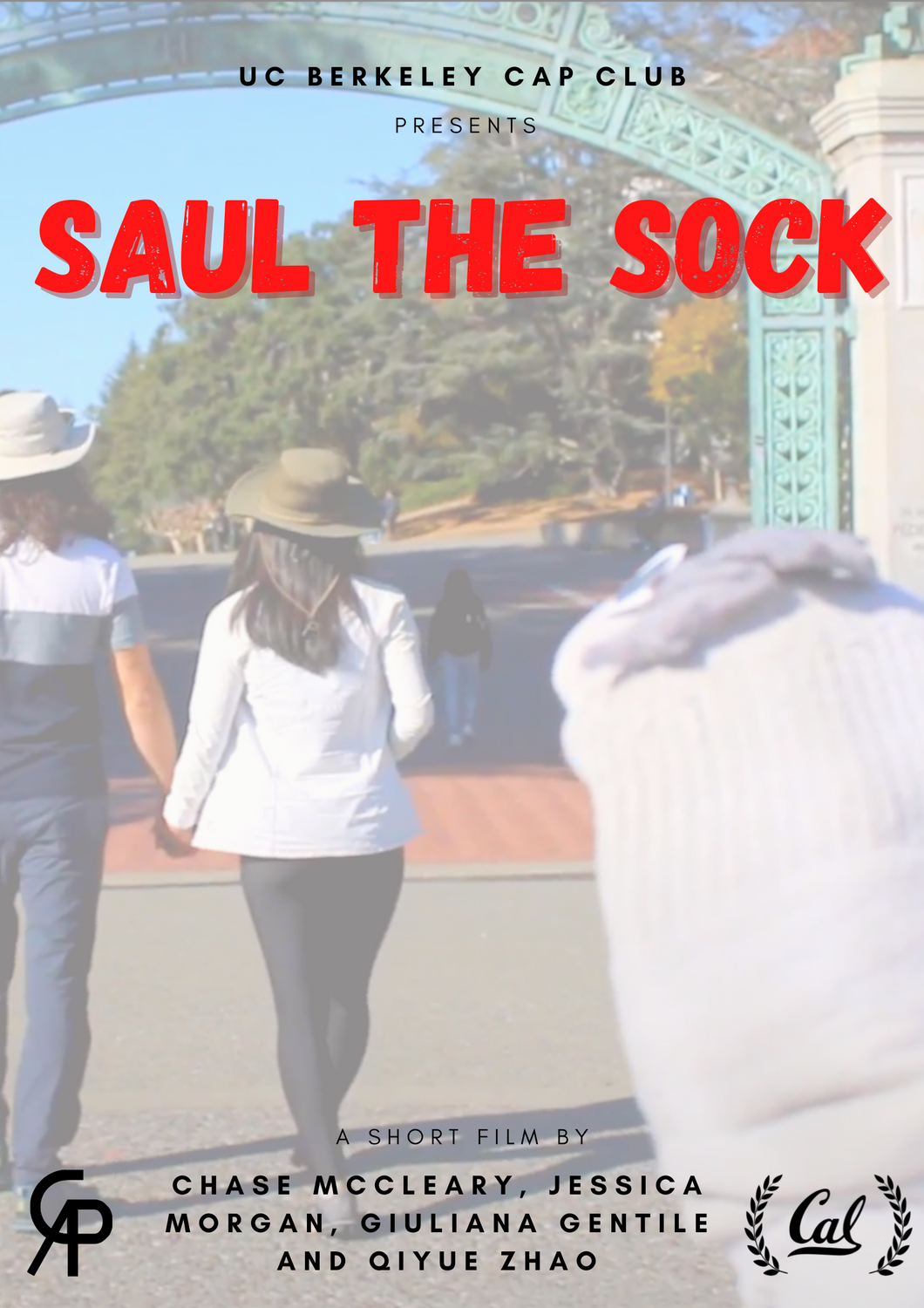 Saul the Sock
