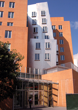 Stata Center, Massachusetts Institute of Technology, Cambridge
