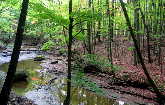 Tinkers Creek, Bedford Reservation, Cuyahoga Valley National Park, Ohio