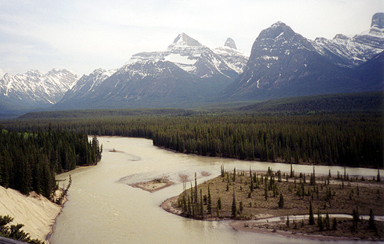 Athabasca River, Jasper National Park, Alberta