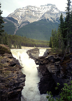 Athabasca Falls, Jasper National Park, Alberta