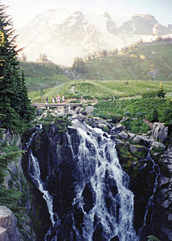 Paradise, Mount Rainier National Park, Washington