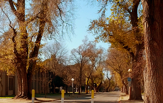 Peter J. Shields Avenue, University of California, Davis