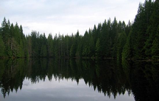 Edith Lake, Alice Lake Provincial Park, British Columbia