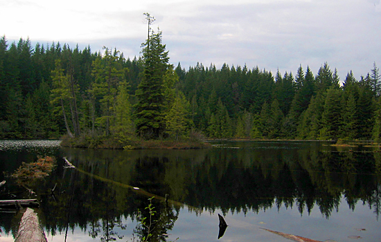 Stump Lake, Alice Lake Provincial Park, British Columbia