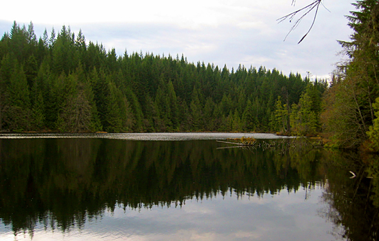 Stump Lake, Alice Lake Provincial Park, British Columbia