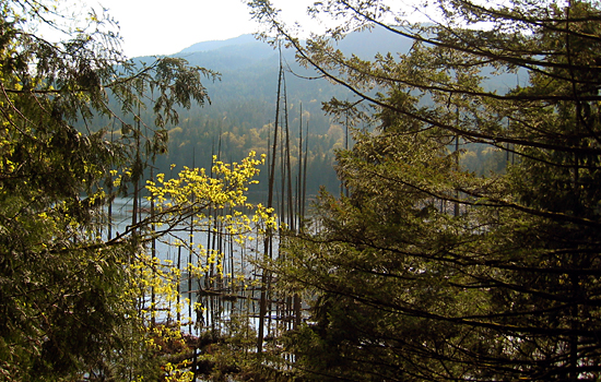 Killarney Lake, Crippen Regional Park, Bowen Island, British Columbia
