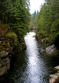 Capilano River Regional Park, North Vancouver, British Columbia