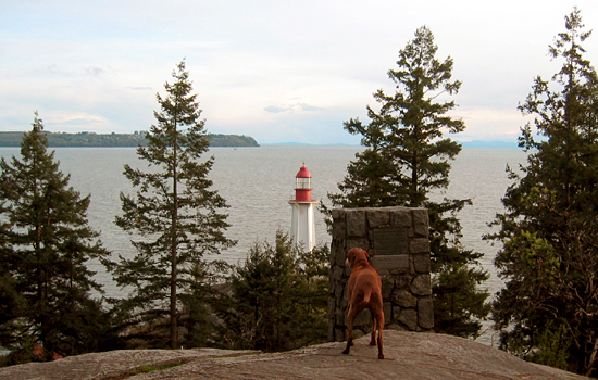 Carver in Lighthouse Park, West Vancouver, British Columbia