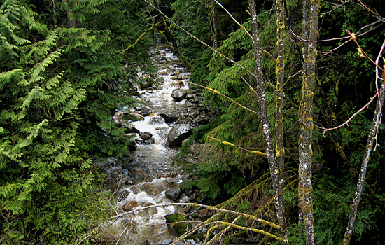Cypress Falls Park, West Vancouver, British Columbia