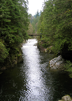 Capilano River Regional Park, North Vancouver, British Columbia