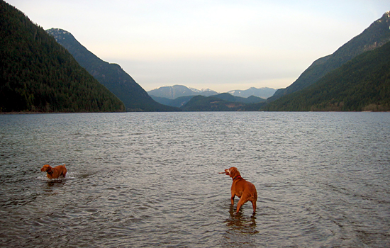 Alouette Lake, Golden Ears Provincial Park, British Columbia