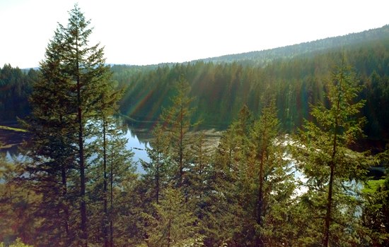 Minnekhada Regional Park, Coquitlam, British Columbia