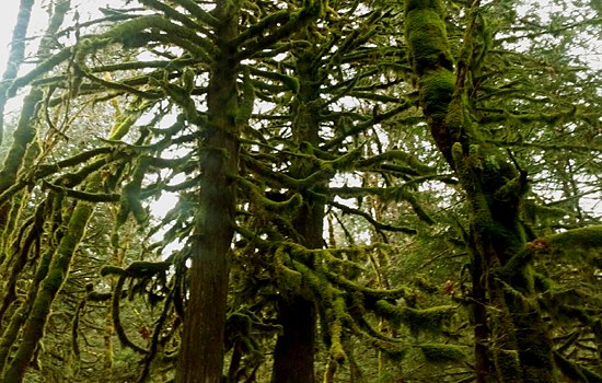 Cultus Lake Regional Park, British Columbia