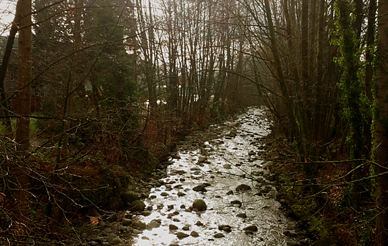 Mosquito Creek, North vancouver, British Columbia