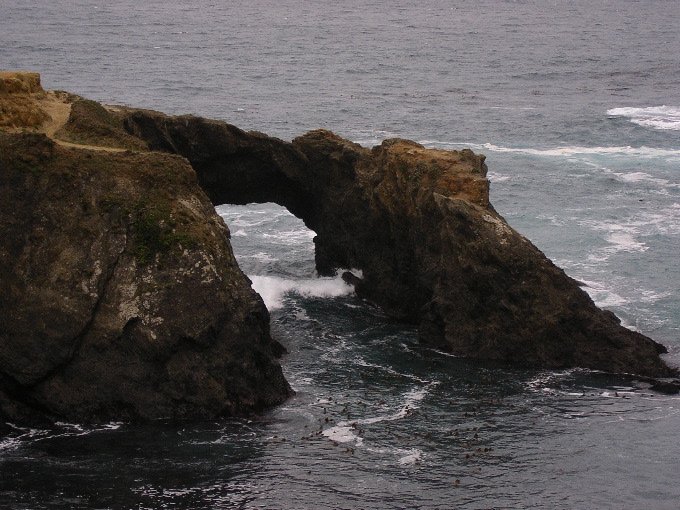 Mendocino Headlands