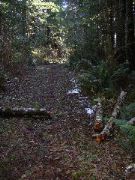 snow on trail