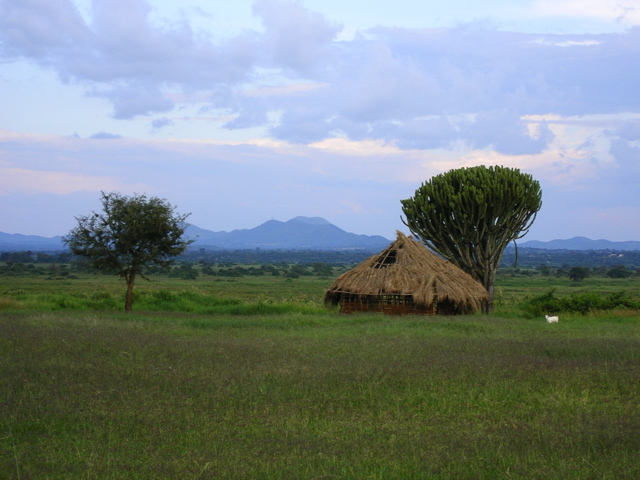 hut near the lake