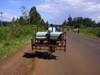 couch on bike