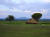 hut near the lake