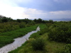 stream into lake