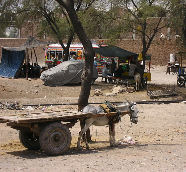 Donkey Cart