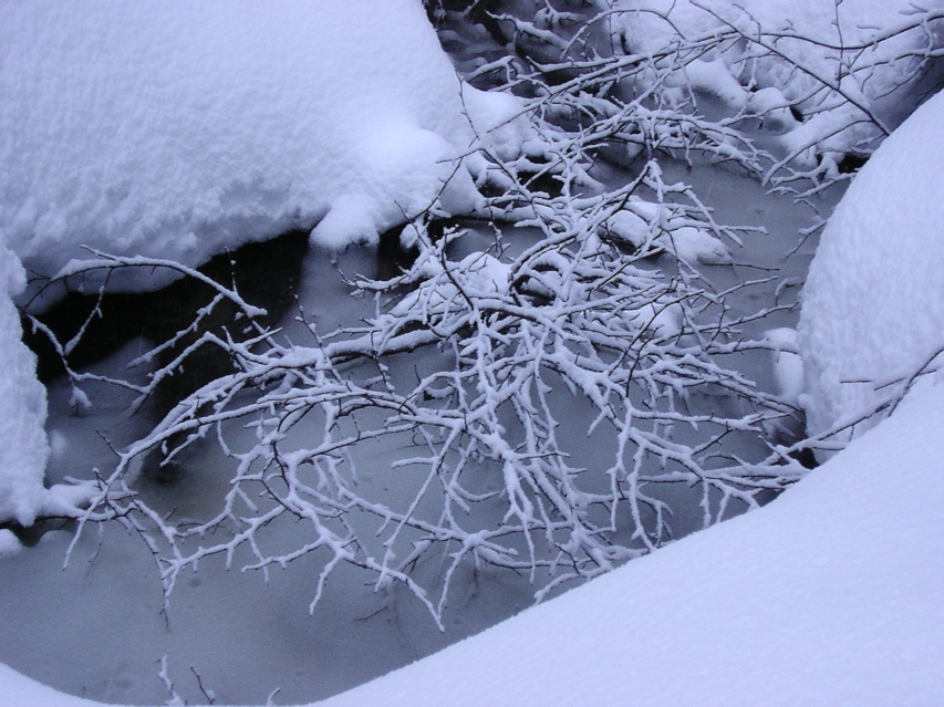 Stream Crossing