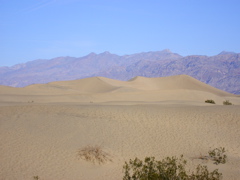 Sand Dunes