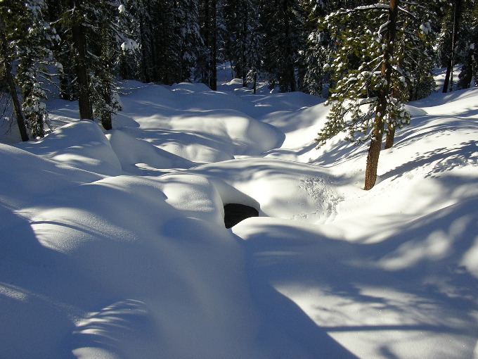 South Fork Tuolumne River