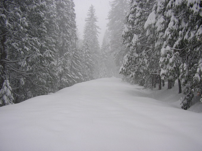 Tioga Road