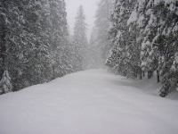 Tioga Road