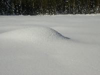 Tracks on Harden Lake