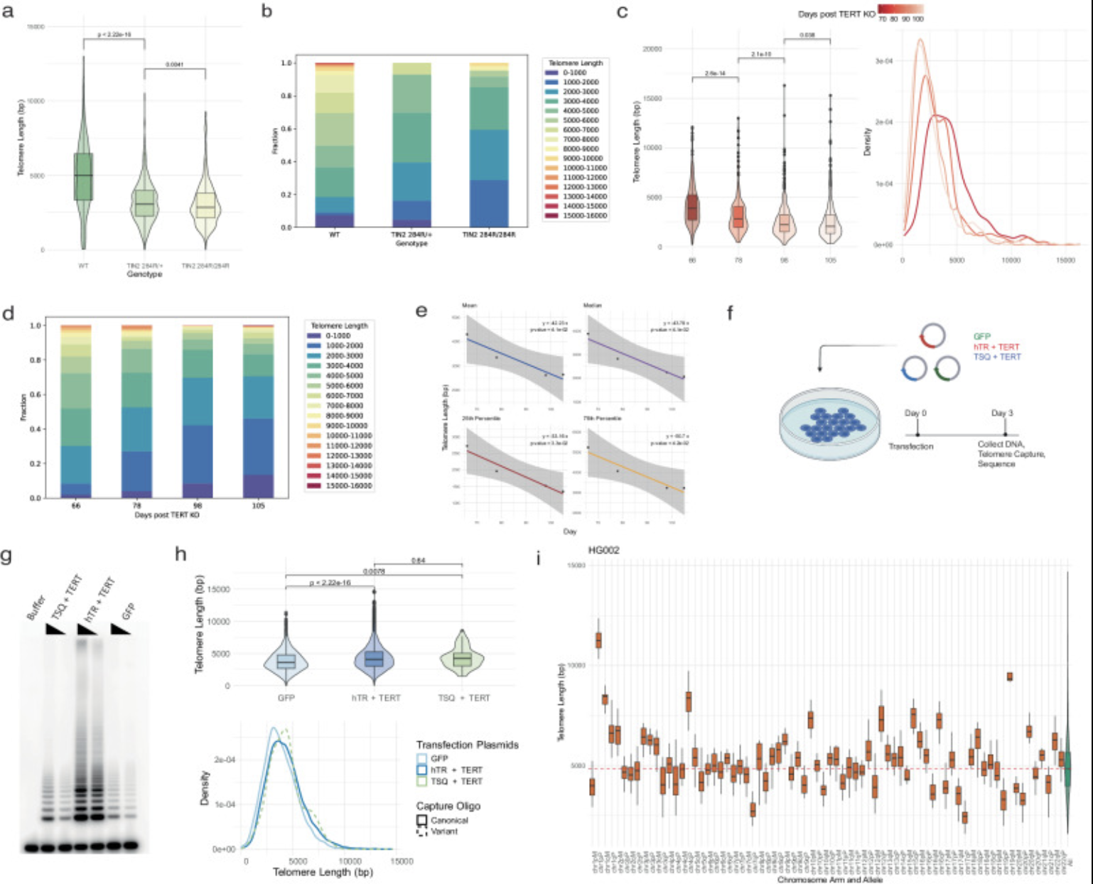 Recent Publication