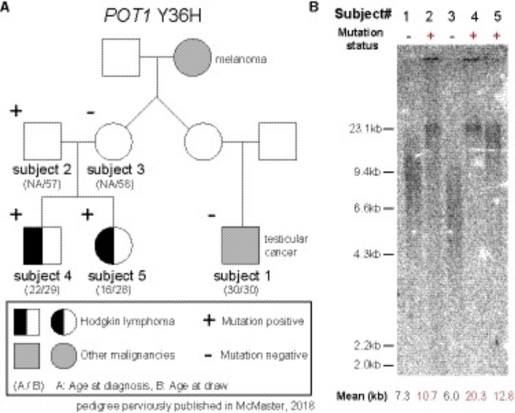 Recent Publication