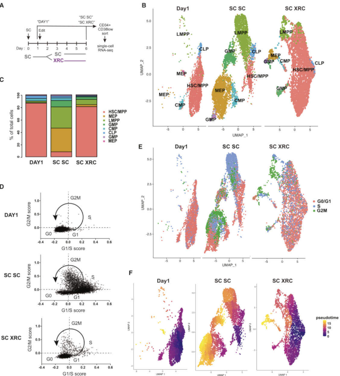 Recent Publication