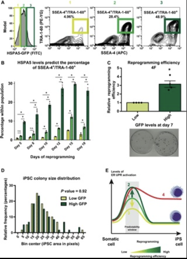 Recent Publication