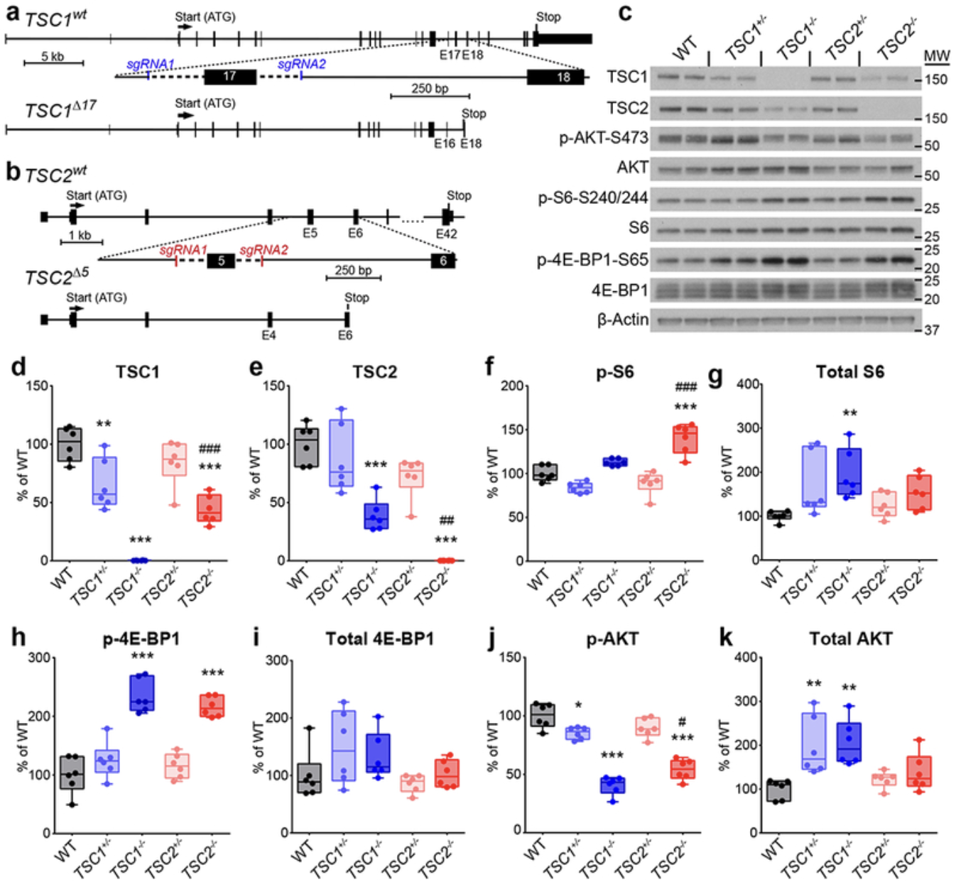 Recent Publication