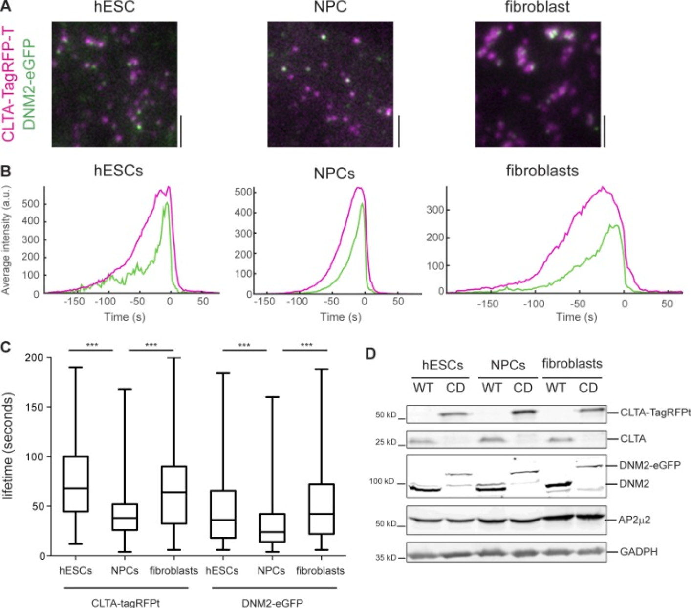 Recent Publication