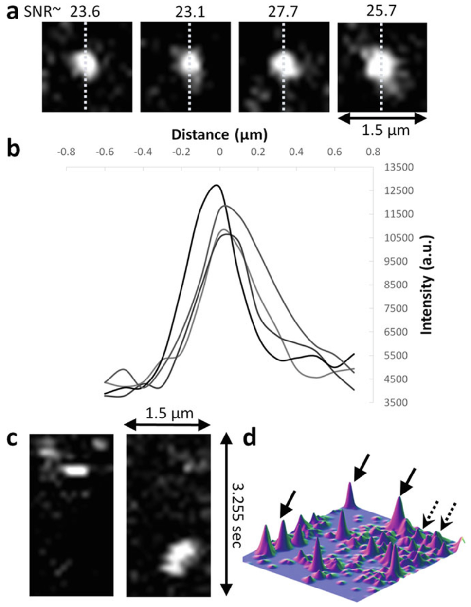 Recent Publication