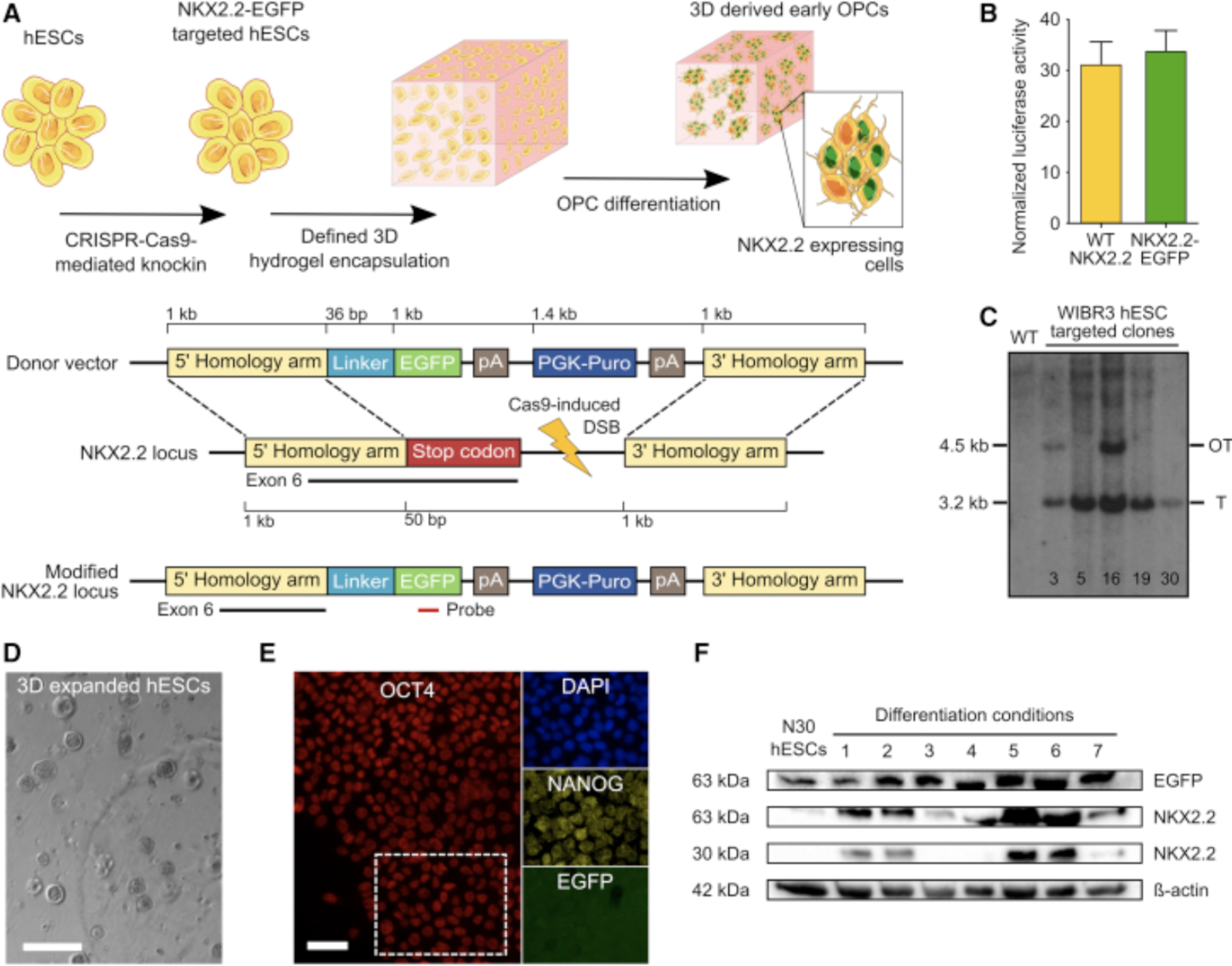 Recent Publication