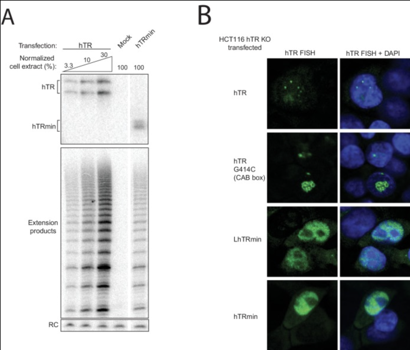 Recent Publication