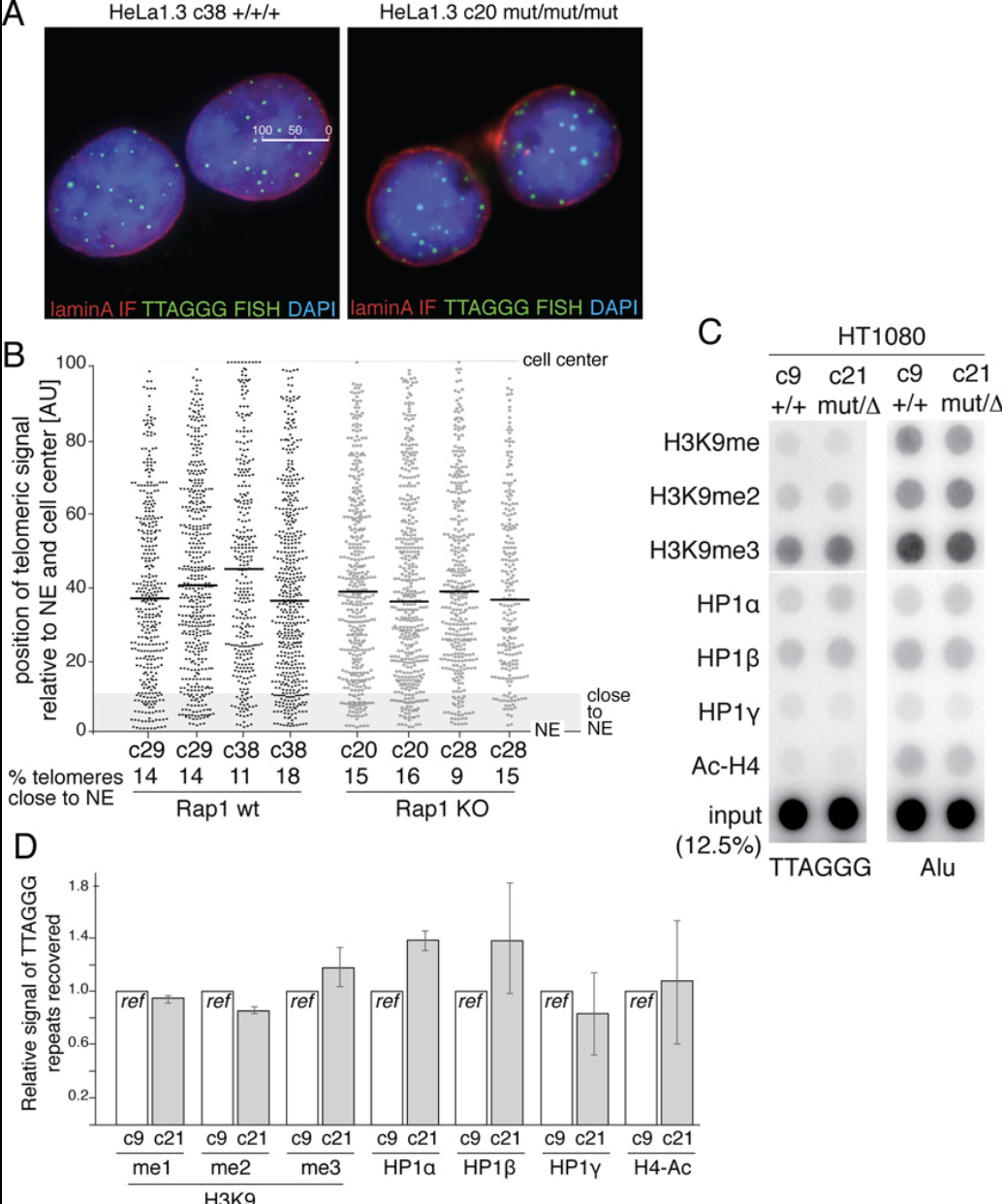 Recent Publication