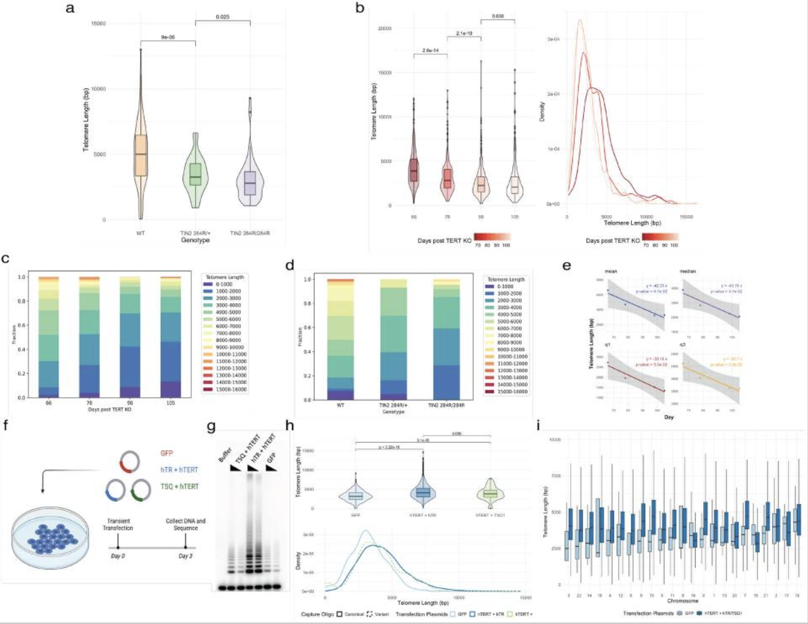 Recent Publication