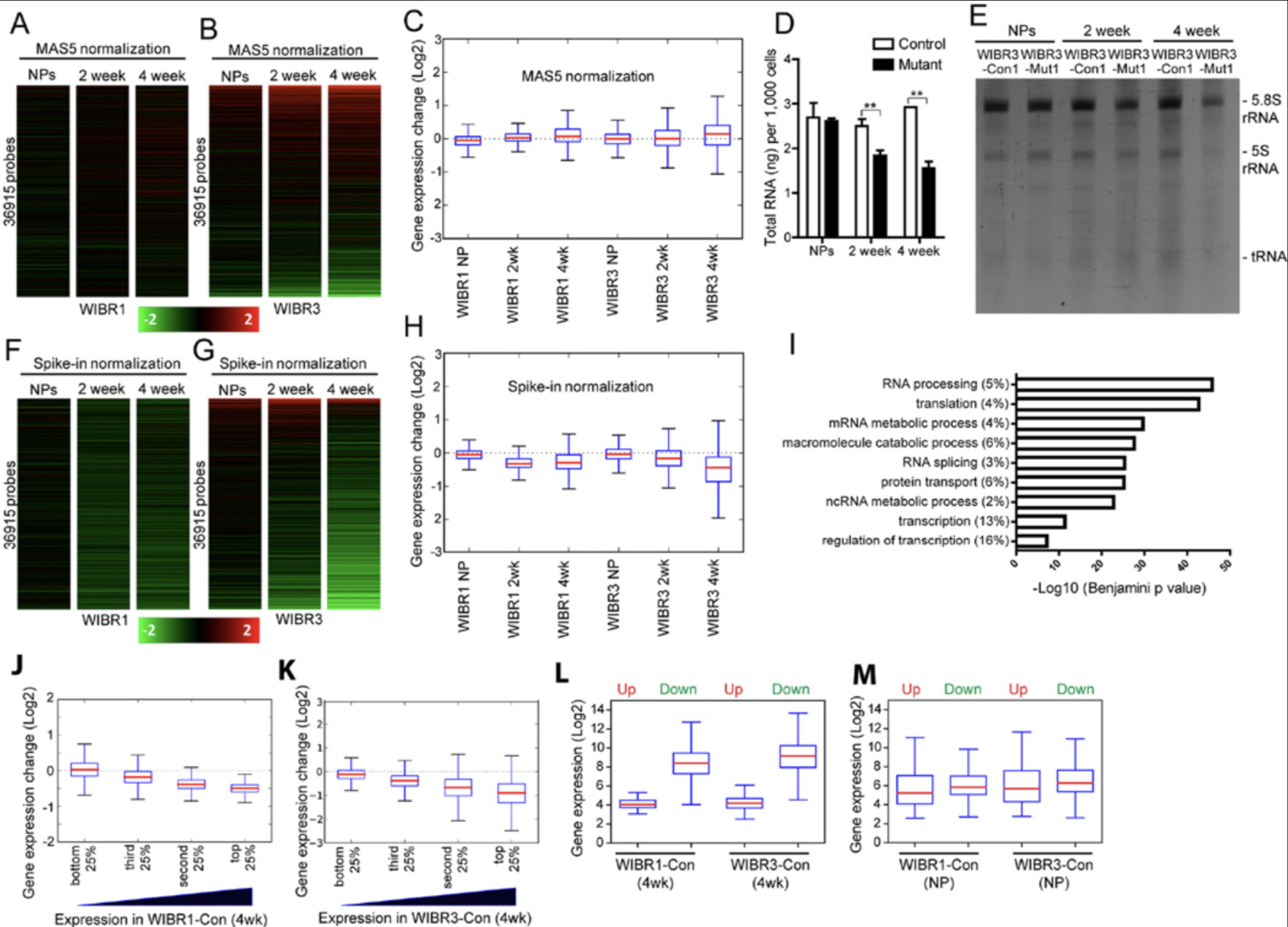 Recent Publication