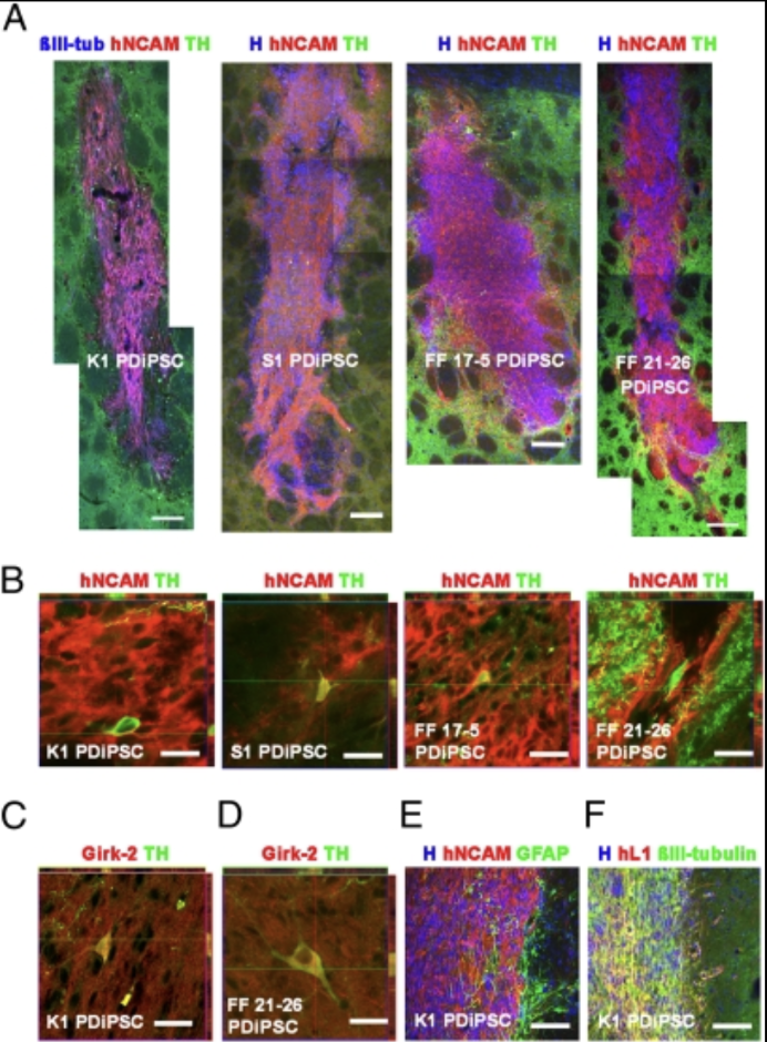 Recent Publication