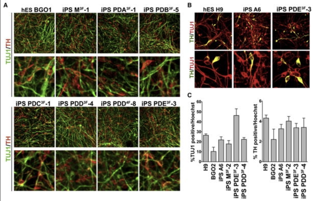 Recent Publication