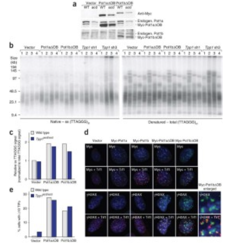 Recent Publication