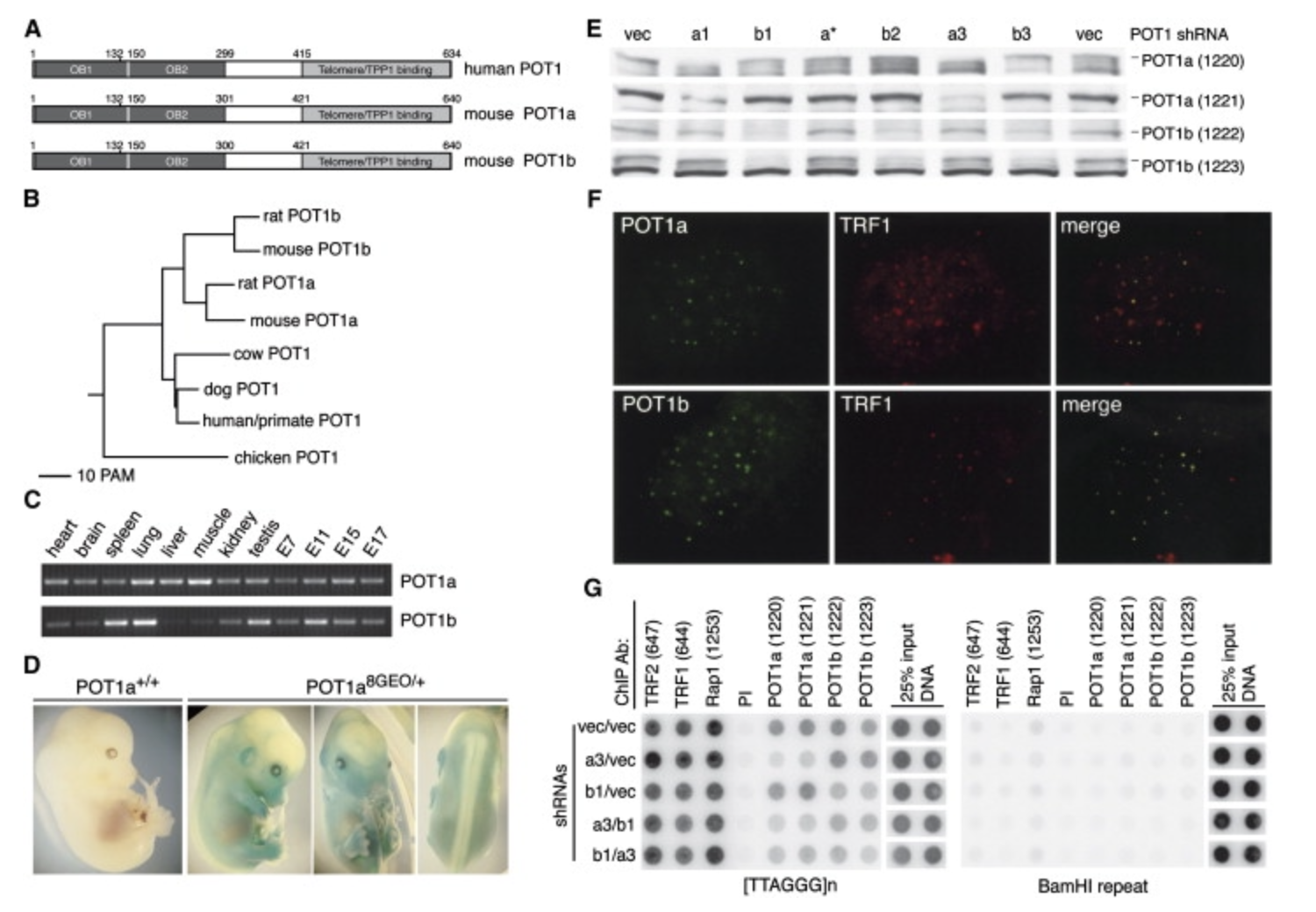 Recent Publication