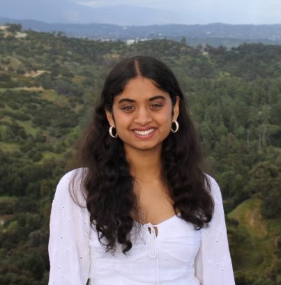 Headshot of Academic Chair